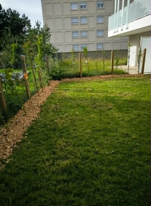 Aménagement de jardin près de Lyon — pelouse entretenue et bordure paillée